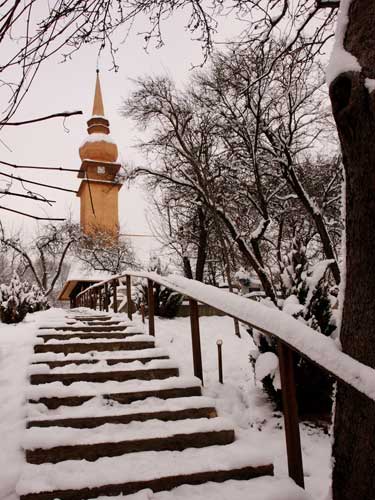 Foto Biserica-monument istoric Laschia (c) Petru Goja